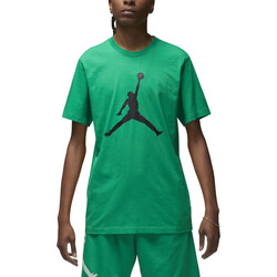 Textil Homem T-Shirt mangas curtas Nike CJ0921 Verde