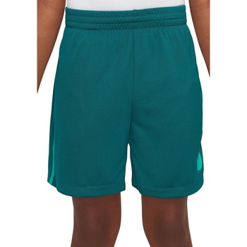 Textil Rapaz Shorts / Bermudas Nike plains DX5361 Verde