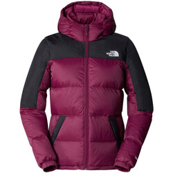 Textil Mulher Quispos The North Face NF0A55H4 Violeta