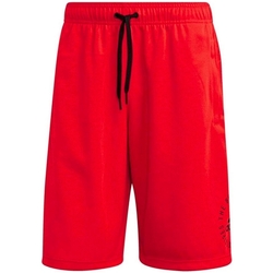 Textil Homem Shorts / Bermudas adidas Originals DQ1474 Vermelho