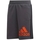 Textil Rapaz Shorts / Bermudas adidas custom Originals DV0811 Cinza