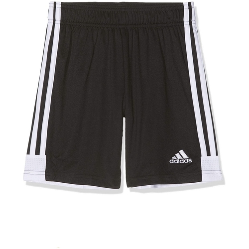 Textil Homem Shorts / Bermudas indoor adidas Originals DP3246 Preto