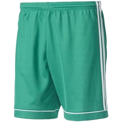 Textil Rapaz Shorts / Bermudas adidas Originals BJ9231-BIMBO Verde