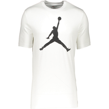 Textil Homem T-Shirt mangas curtas Nike wedge CJ0921 Branco