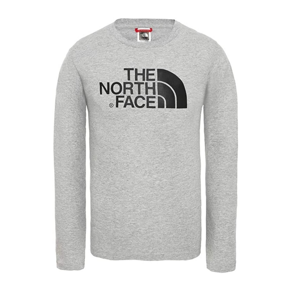 Textil Rapaz T-shirt mangas compridas The North Face NF0A3S3B Cinza