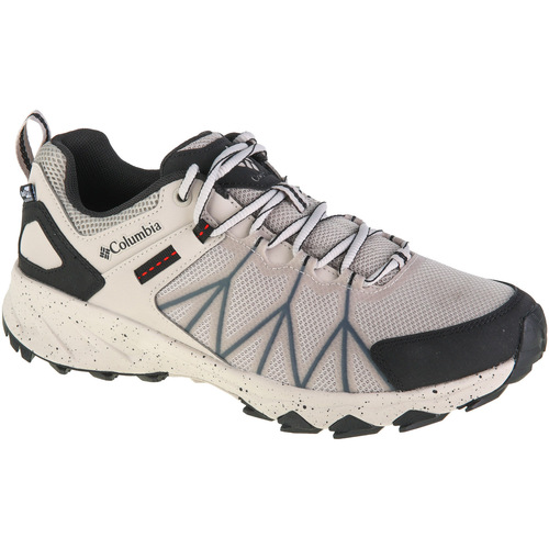 Sapatos Homem Sapatos de caminhada Columbia Baixo: 1 a 2cm Cinza