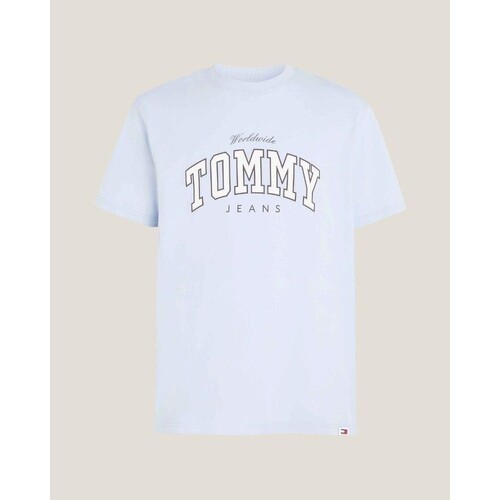 Textil Homem T-Shirt mangas curtas Tommy Hilfiger DM0DM18287 Azul