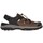 Sapatos Homem Sandálias Skechers 205113 TRESMEN Castanho