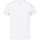 Textil Criança Polos mangas curta Noona MALIBU Branco