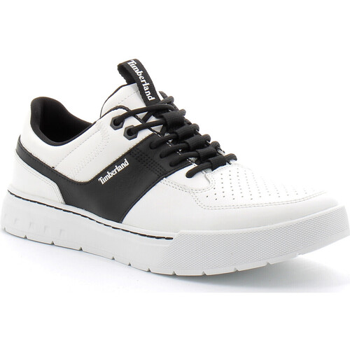 Sapatos Homem Sapatilhas Timberland  Branco