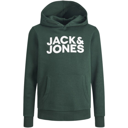 Textil Rapaz Sweats Jack & Jones 12152841 JJECORP LOGO SWEAT HOOD NOOS JNR PINE GROVE Verde