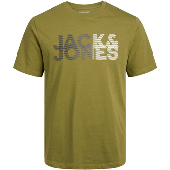 Textil Homem T-Shirt mangas curtas Jack & Jones 12243932 JCOSHADY TEE SS CREW NECK FST OLIVE BRANCH Verde