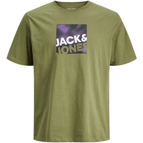 Textil Homem T-Shirt mangas curtas Jack & Jones 12246992 JCOLOGAN AW23 TEE SS CREW NECK OLIVE BRANCH Verde