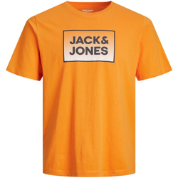 Textil Rapaz T-Shirt mangas curtas Jack & Jones 12249633 JJSTEEL TEE SS JNR DARK CHEDDAR Laranja