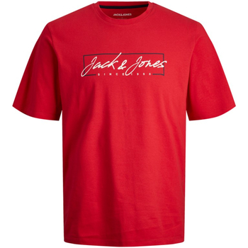 Textil Rapaz T-Shirt McCall mangas curtas Jack & Jones 12249699 JJZURI TEE SS CREW NECK JNR TRUE RED Vermelho
