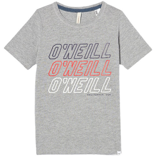 Textil Rapaz A great extra layer to throw over your hoodies and long-sleeved tops this season O'neill  Cinza