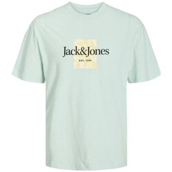Textil Homem T-Shirt mangas curtas Jack & Jones 12250436 JORLAFAYETTE Verde