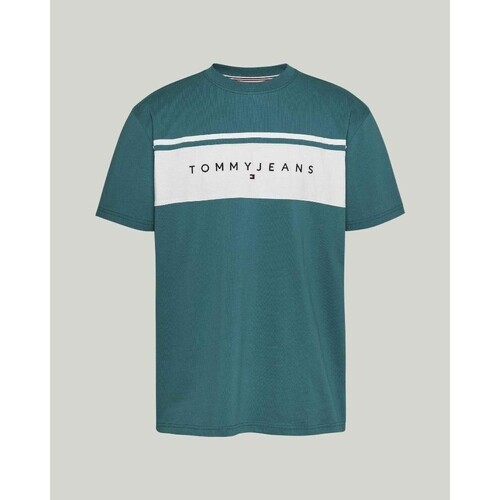 Textil Homem T-Shirt mangas curtas Tommy Hilfiger DM0DM18658CT0 Verde