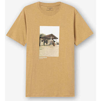 Textil Homem T-shirts e Pólos Tiffosi 10054098-118-7-1 Bege