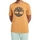 Textil Homem T-Shirt mangas curtas Timberland 227621 Castanho