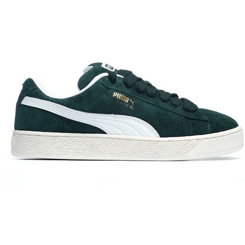 Sapatos Homem Sapatilhas Puma Suede Xl Hairy Verde