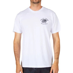 For F&F FW Bridge Bobbie Ultimate White Shirt