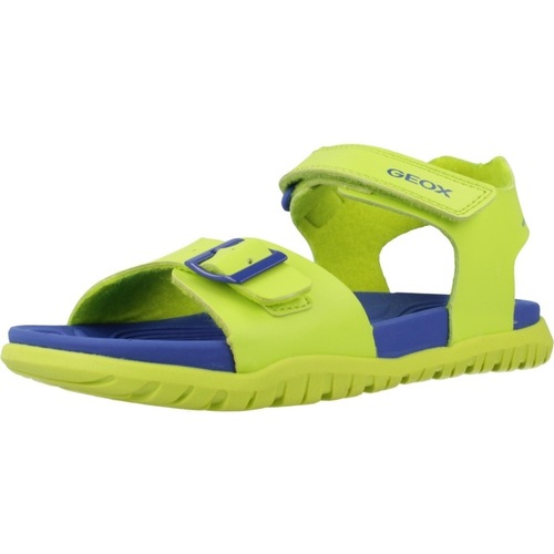 Sapatos Rapaz Sandálias Geox J SANDAL FUSBETTO BO Verde