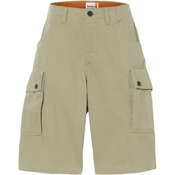 Textil Homem Shorts / Bermudas Timberland 227602 Cáqui