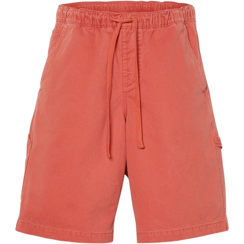 Textil Homem Shorts / Bermudas Delphiville Timberland 227616 Vermelho