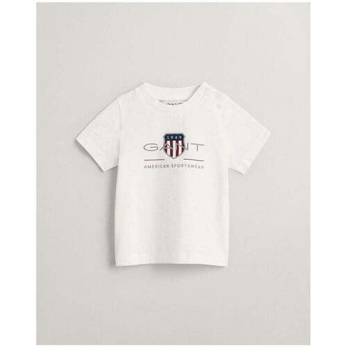 Textil Rapaz T-shirts e Pólos Gant Kids 505187-110-1-12 Branco