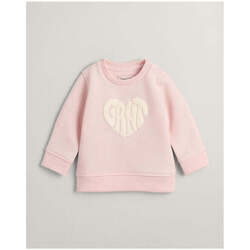 Textil Rapariga Sweats Gant Kids 506746-655-9-12 Rosa