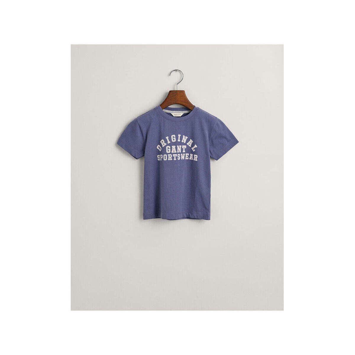 Textil Rapaz T-shirts e Pólos Gant Kids 805187-421-3-17 Azul