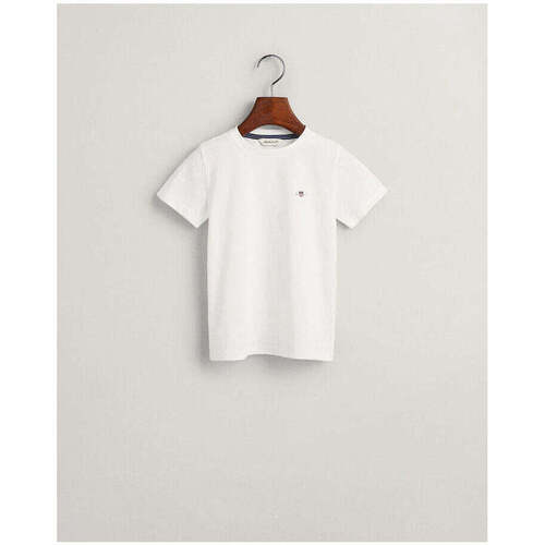 Textil Rapaz T-shirts e Pólos Gant Kids 805189-110-1-17 Branco