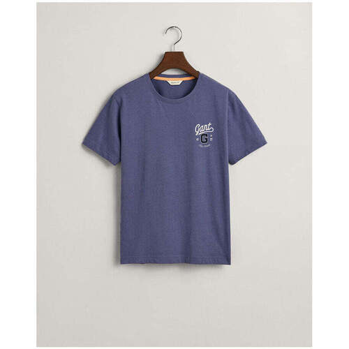 Textil Rapaz T-shirts e Pólos Gant Kids 905234-421-3-25 Azul