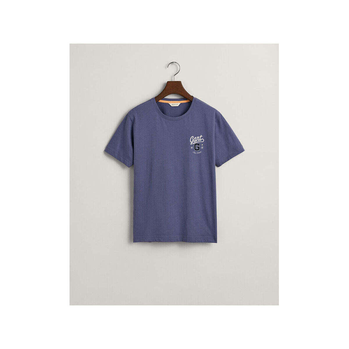 Textil Rapaz T-shirts e Pólos Gant Kids 905234-421-3-25 Azul