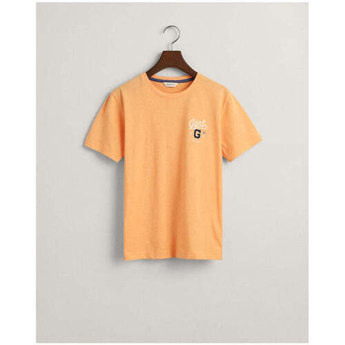 Textil Rapariga T-shirts e Pólos Gant Kids 905234-835-10-25 Laranja