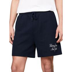 Textil Homem Shorts / Bermudas Tommy fm0fm02358 Jeans  Azul
