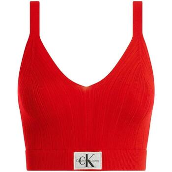 Textil Mulher T-shirts e Pólos Calvin Klein Kids CJ1PJ43TE039  Vermelho