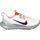 Sapatos Homem Multi-desportos Nike DM0822-102 Bege