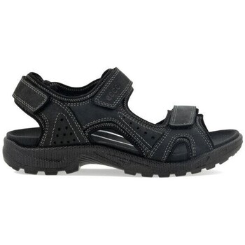 Sapatos Homem Sandálias Ecco Company 690024 Preto