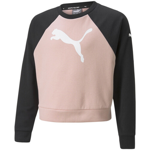 Textil Rapariga Sweats Puma Sports  Rosa