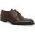 Sapatos Homem Richelieu Melluso U90601W-236866 Castanho
