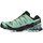 Sapatos Homem Sapatos de caminhada Salomon Xa Pro 3d V9 Verde