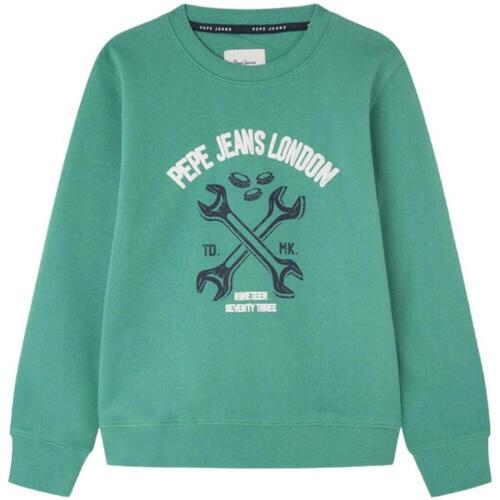 Textil Rapaz Sweats Pepe JEANS hoodie  Verde