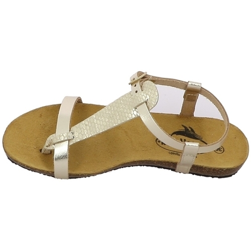 Plakton MAM ZOUK Ouro