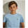 Textil Rapaz T-shirts e Pólos Lion Of Porches Kids LP003167-510-3-19 Azul