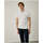 Textil Homem T-shirts e Pólos Lion Of Porches LP004084-001-1-1 Branco