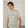 Textil Homem T-shirts e Pólos Lion Of Porches LP004263-920-8-1 Cinza