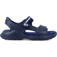 Sapatos Rapaz Sandálias Biomecanics SANDÁLIAS BIOMECÂNICAS BEACH 232290 Azul