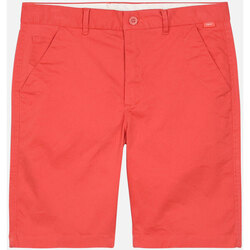 Refresh your wardrobe and get ready for summer with these Aldo Drape Avorio collar Shorts from